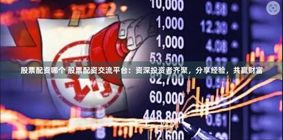 股票配资哪个 股票配资交流平台:资深投资者齐聚,分享经验,共赢财富