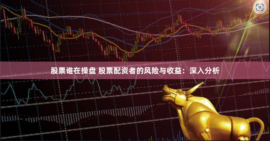 股票谁在操盘 股票配资者的风险与收益:深入分析